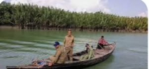 IMG-20250401-WA0000