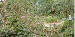 IMG-20250512-WA0058