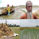 তাড়াশে অপরিকল্পিত ভাবে পুকুর খননে জলাবদ্ধতা বিপদে পড়েছে শ্রমিকেরা