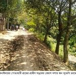 ঝিনাইদহের পোতাহাটী গ্রামের গ্রামীণ সড়কের বেহাল দশায় জন দূর্ভোগ চরমে