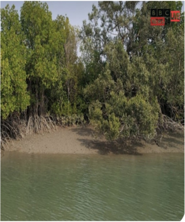 20260227_230112_1772211739343edit