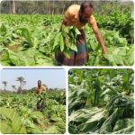 Screenshot_2026-02-17-22-37-06-770_com.whatsapp-edit