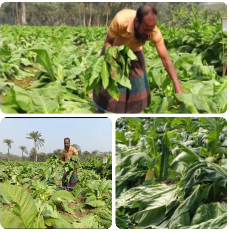 Screenshot_2026-02-17-22-37-06-770_com.whatsapp-edit